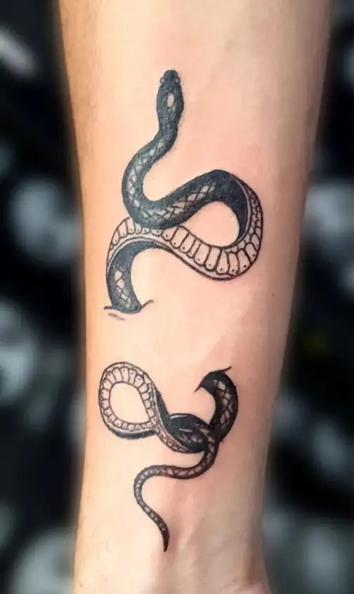 Tattoo Design Snake Minimalistic Snake Lined Drawing  Etsy Ireland