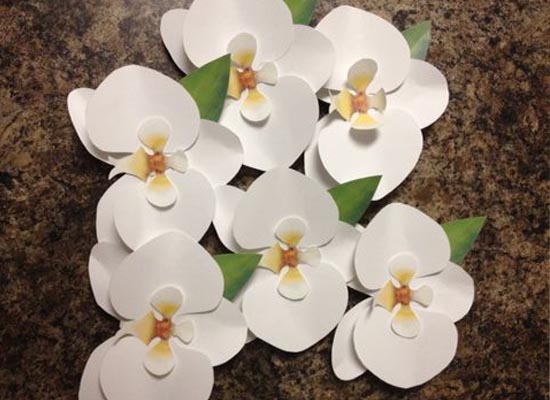 Foam paper orchid
