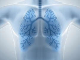 How to keep Lungs Healthy?