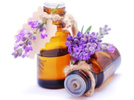 Is Lavender Oil Safe During Pregnancy?
