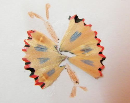 Pencil Shaving Butterfly Craft