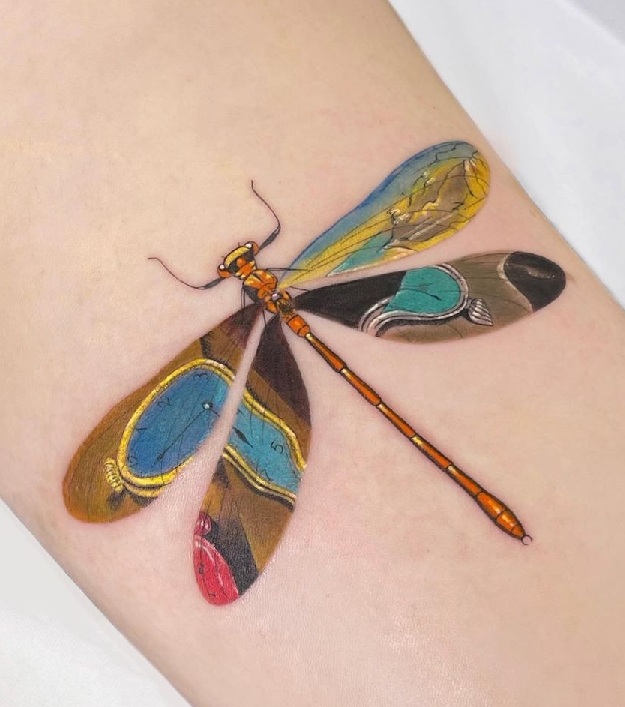 Realistic Dragonfly Tattoo Designs