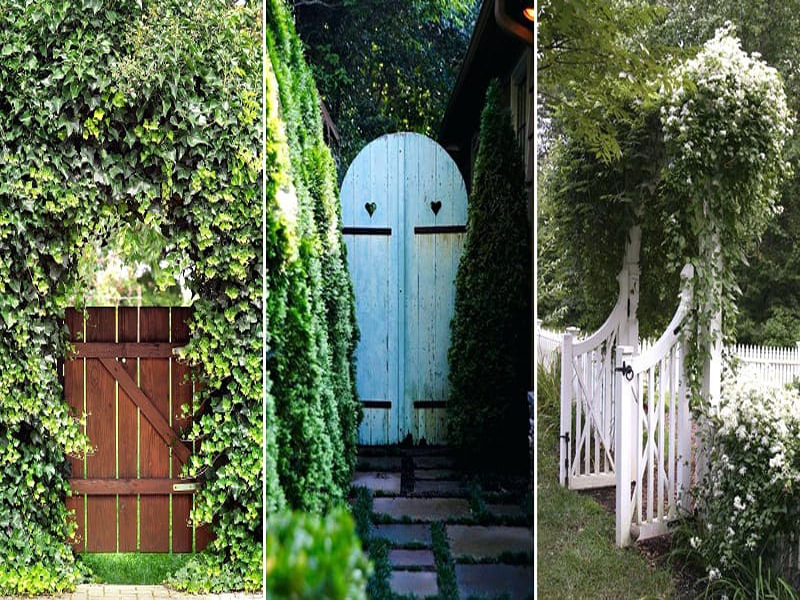 10 Beautiful Garden Gate Designs With Photos In India
