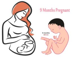 9th Month Pregnant: Symptoms and Baby Development