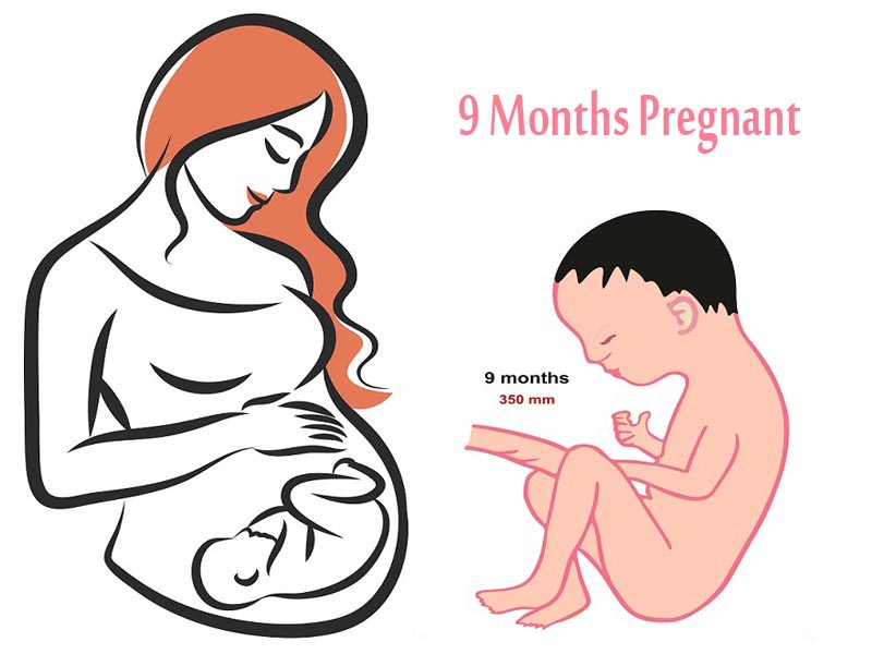 9th month of pregnancy