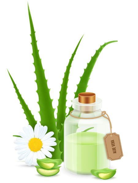 Aloe Vera Oil Benefits For Skin