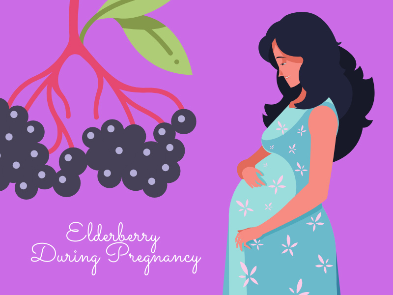 elderberry during pregnancy