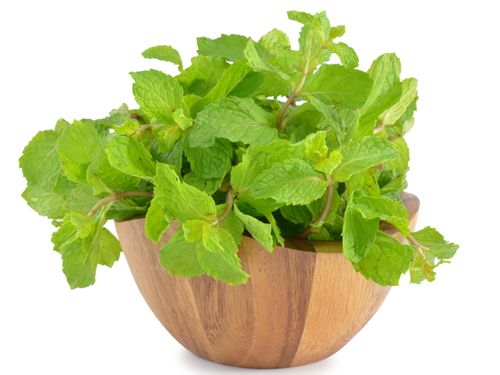 Mint Ayurvedic Treatment For Pimples