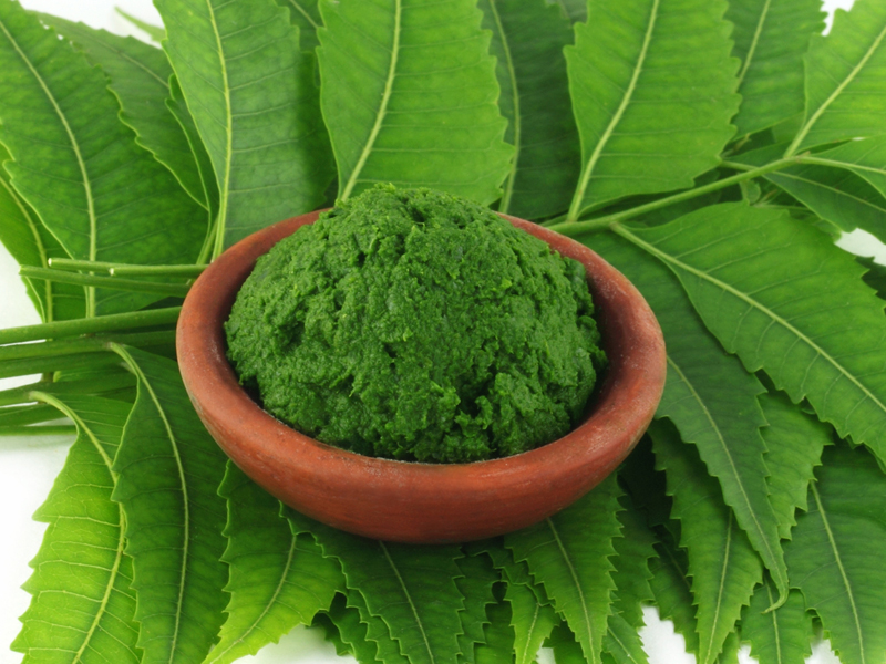 Neem Leaves Paste For Hair Growth
