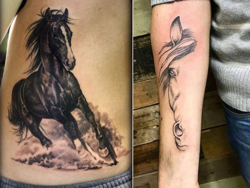 80 Coolest Horse Tattoo Designs  Horse tattoo design Horse tattoo  Sketchy tattoo