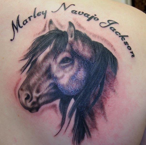 Horse Head Tattoo Drawing On Your Back