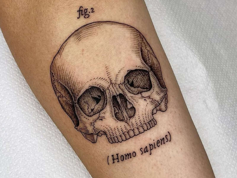 HugeDomains.com | Skulls drawing, Skull sleeve tattoos, Skull art tattoo