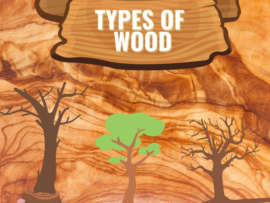 Types of Wood: 17 Best Woods in India for Making Furniture 2023