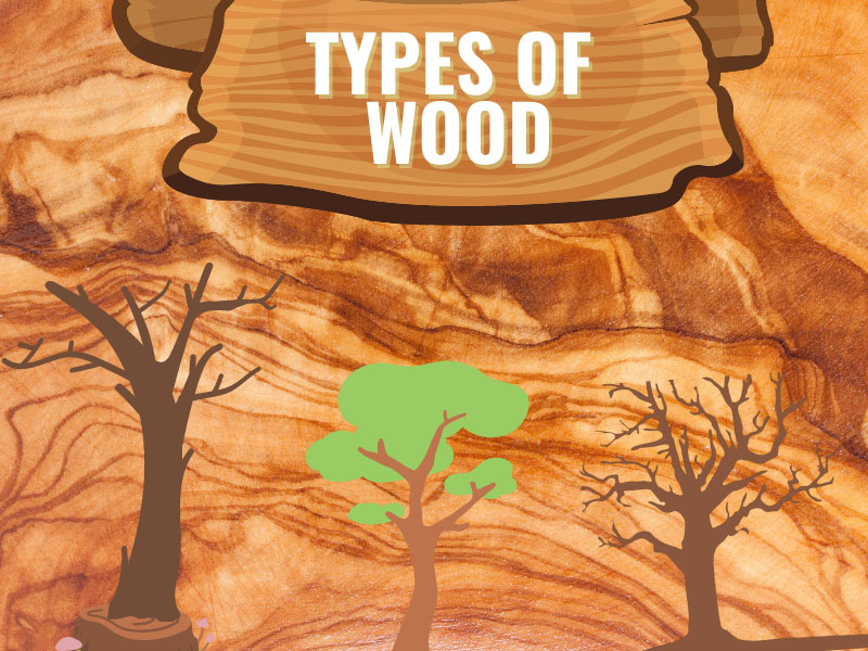 Types Of Wood In India For Furniture