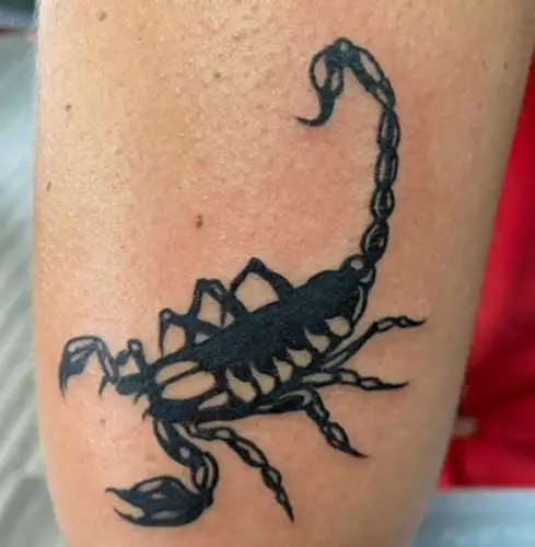 the guy with scorpion tattoo｜TikTok Search