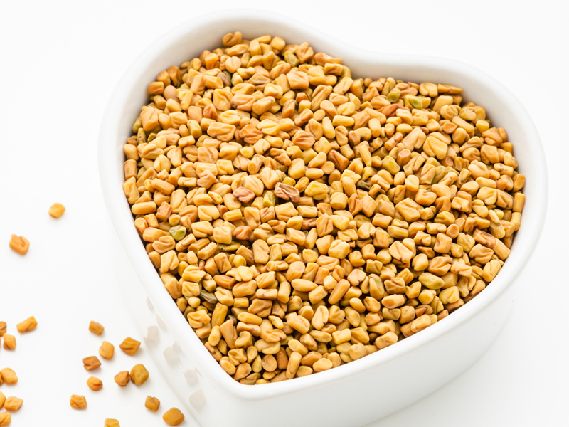 What Are The Main Benefits Of Fenugreek