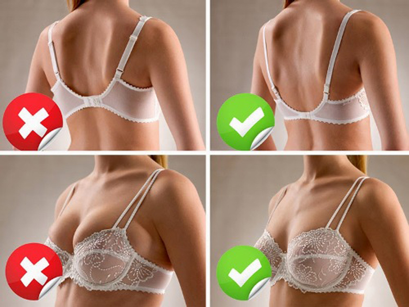 What Is Half Cup Bra And Its Wearing Tips