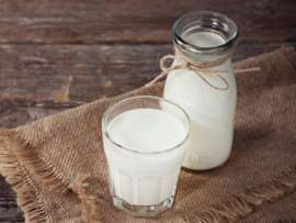 Types of Milk: 20 Animal and Plant-Based Milk Varieties Explained