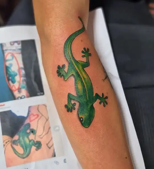 Traditional lizard by Chris Fernandez at Kings Ave Tattoo in Manhattan NYC  healed cuff by Henry Big at Greenpoint Tattoo Co in Brooklyn  rtattoos