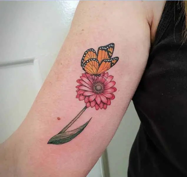 butterfly and daisy tattooTikTok Search