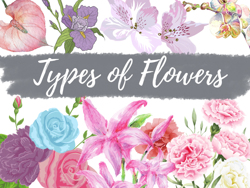 Types Of Flowers Found In India