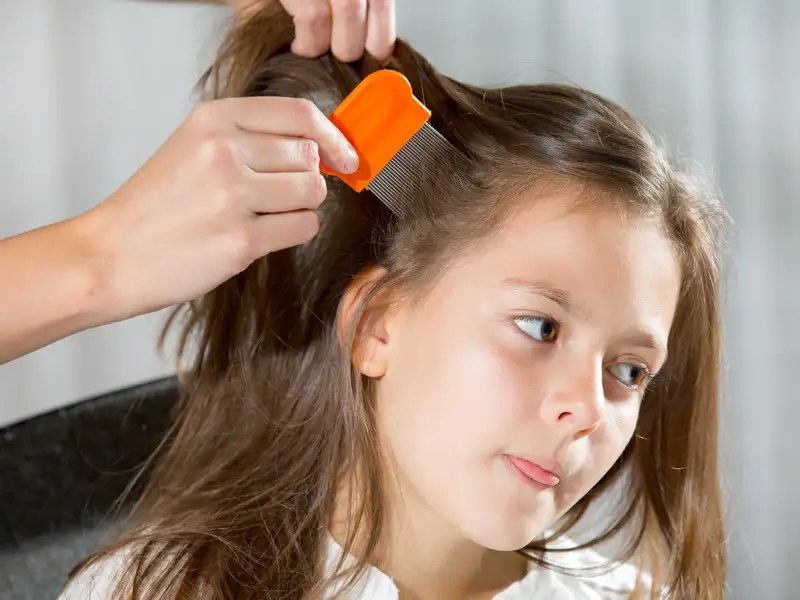 10 Different Types of Hair Combs for Styling and Caring