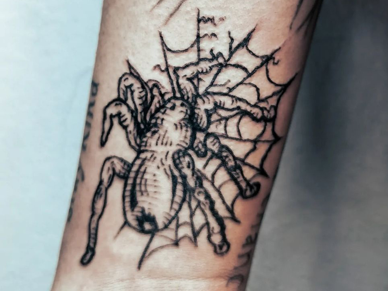 Spider Tattoo Designs