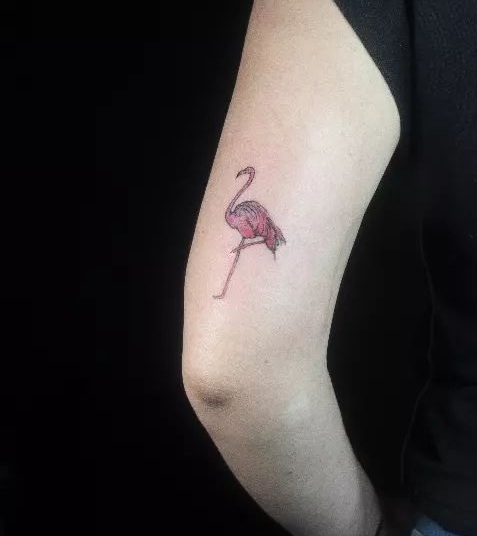 Flamingo Tattoo Pattern