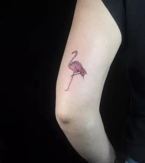 Amazing Flamingo Tattoos with Meanings To Inspire You In 2023  alexie