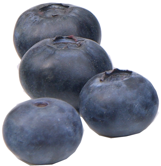 Is Blueberry Good For Your Health