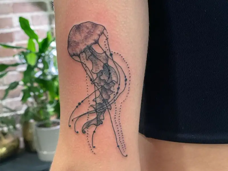 3522 Jellyfish Tattoo Images Stock Photos  Vectors  Shutterstock