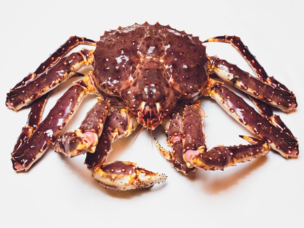 King Crab Species