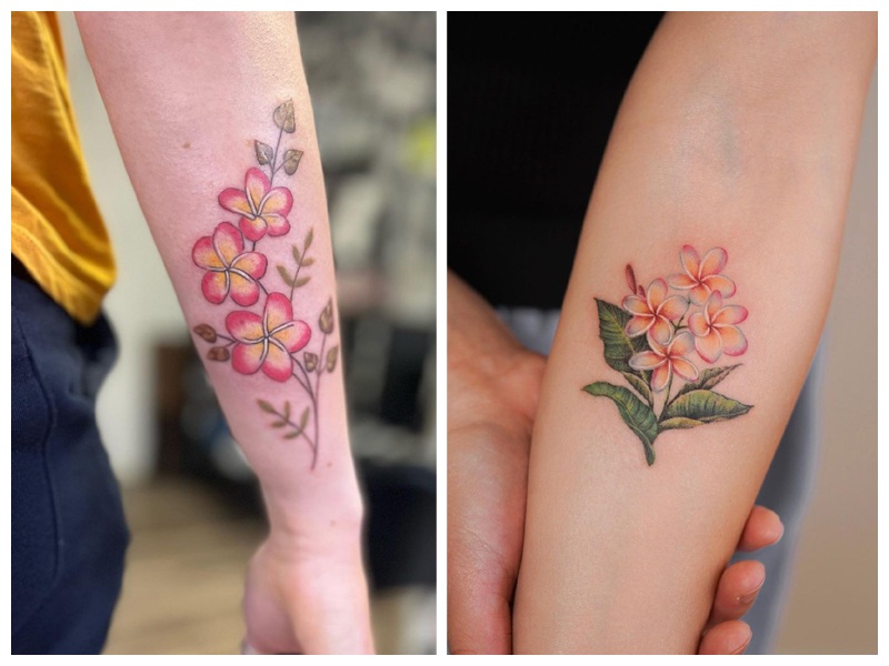 Details more than 139 frangipani flower tattoo best