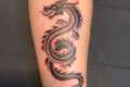 20+ Bold and Mystical Tribal Dragon Tattoo Designs