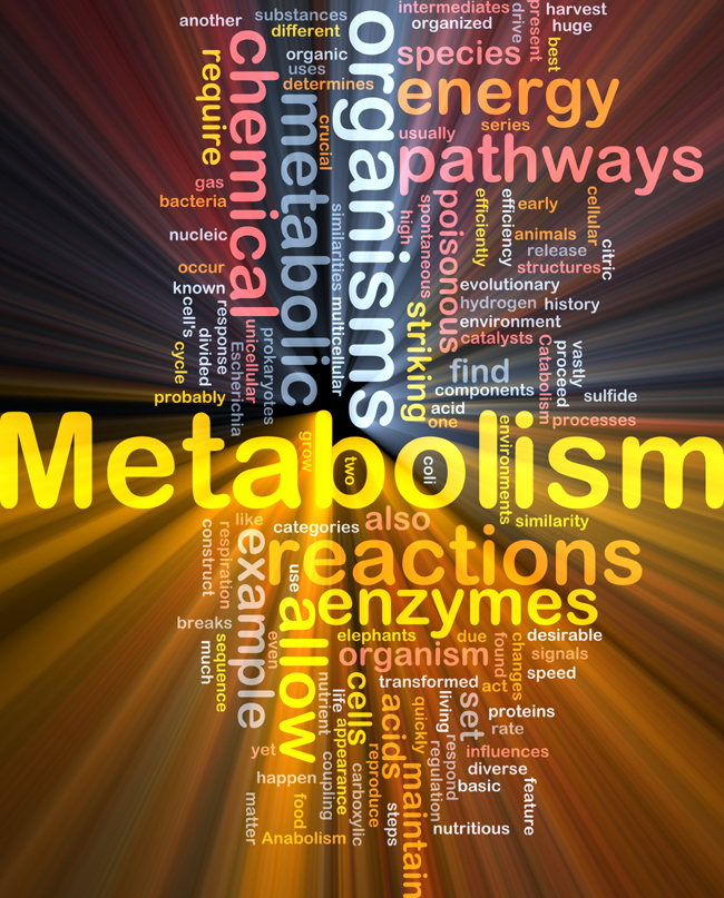 How To Increase Metabolism After 40