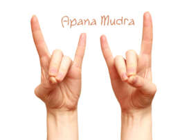 Apana Mudra: Meaning, Techniques, and Health Benefits Explained