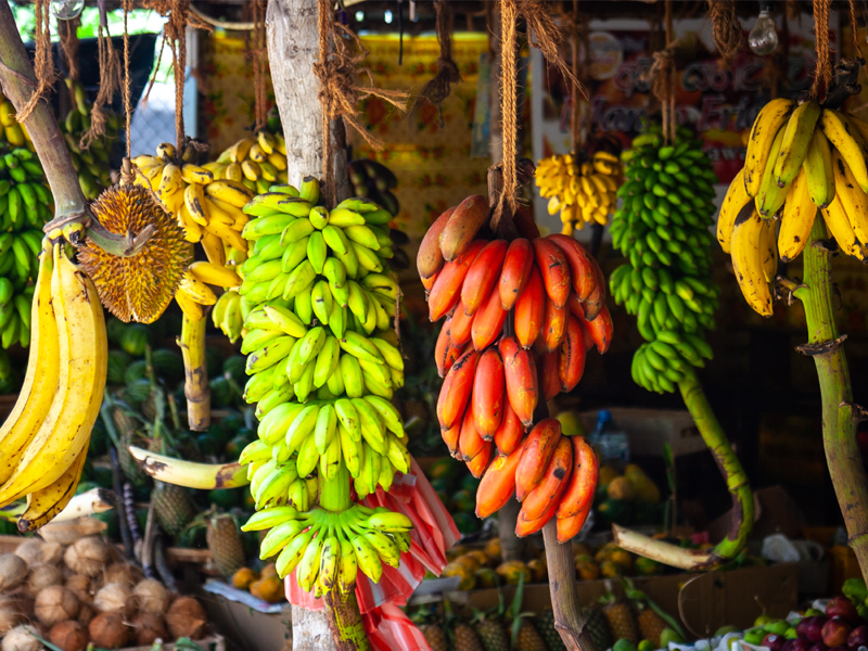Types Of Bananas In India