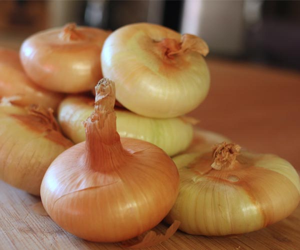 Cipollini onions