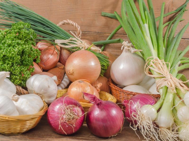 types of onions