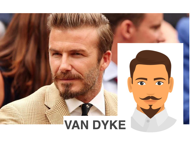 10 Different Van Dyke Beard Styles With Images
