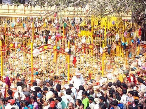 Medaram Jatara telangana famous festival