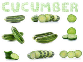15 Different Types of Cucumbers Varieties in the World