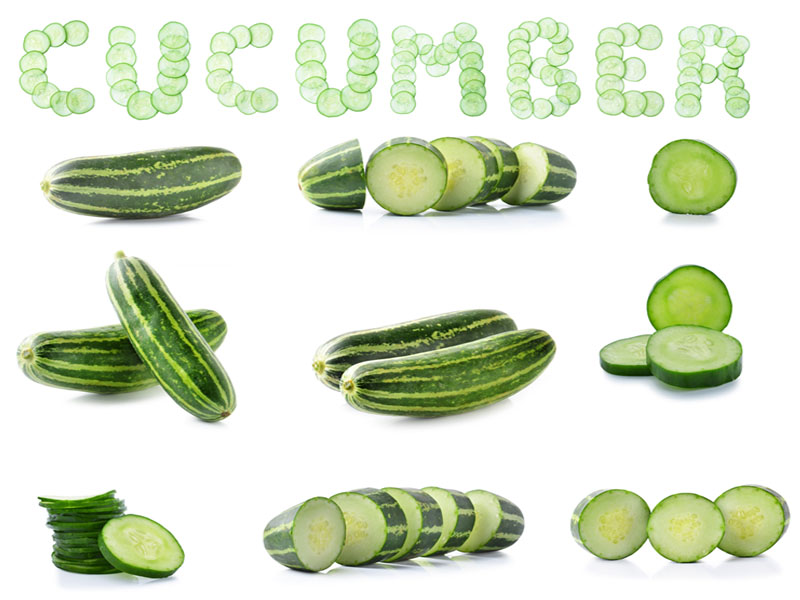 types of cucumbers