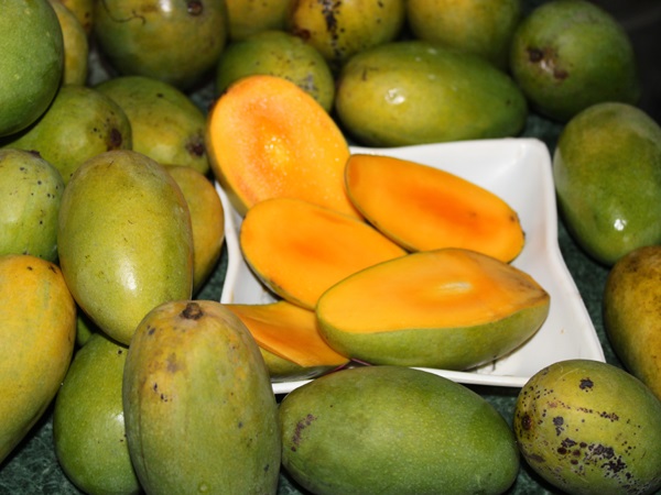 Dasheri mango