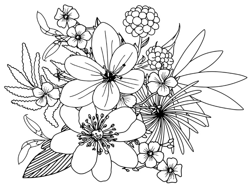 Dahlia flower drawing illustration with line art on white backgrounds.  Stock Vector | Adobe Stock