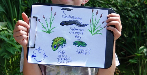 Nature journal science experiment for kids