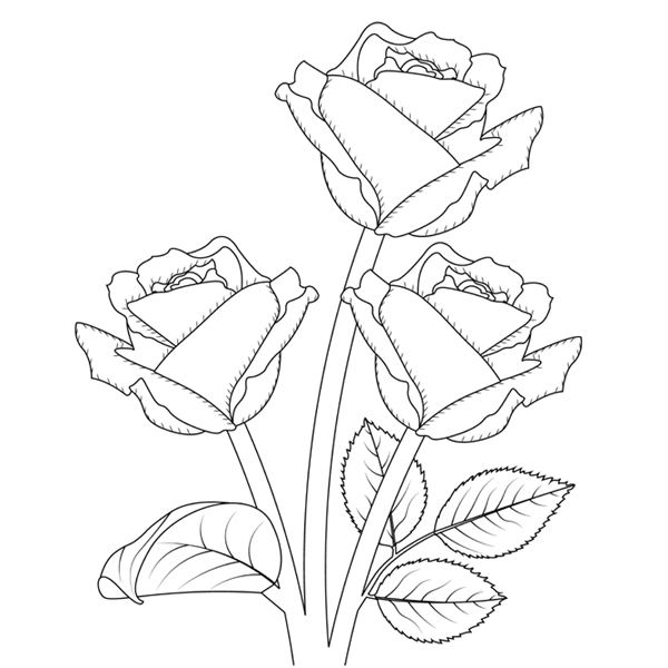 Rose Flower Coloring Image