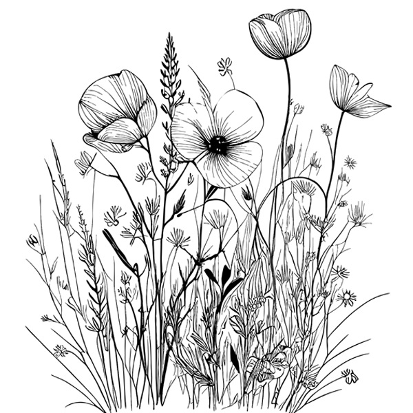Wildflower Printable Coloring Page