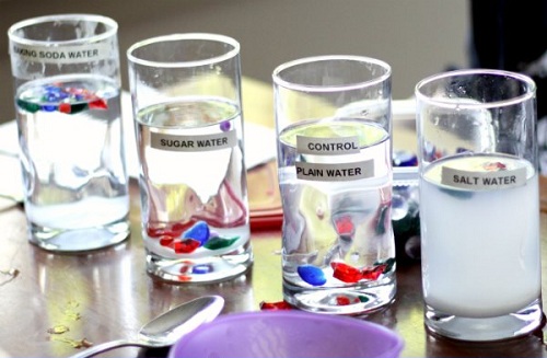 Saltwater Science Experiment for Kids