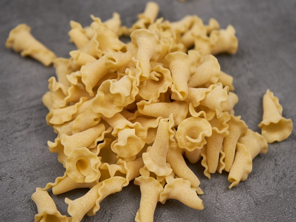 shell shaped pasta 